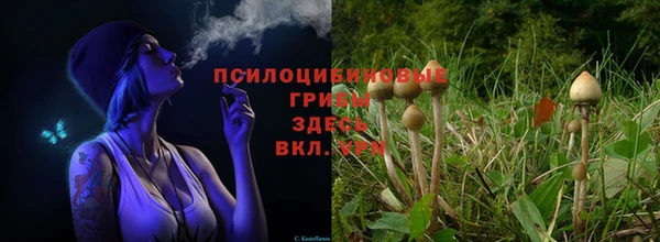 меф Абаза